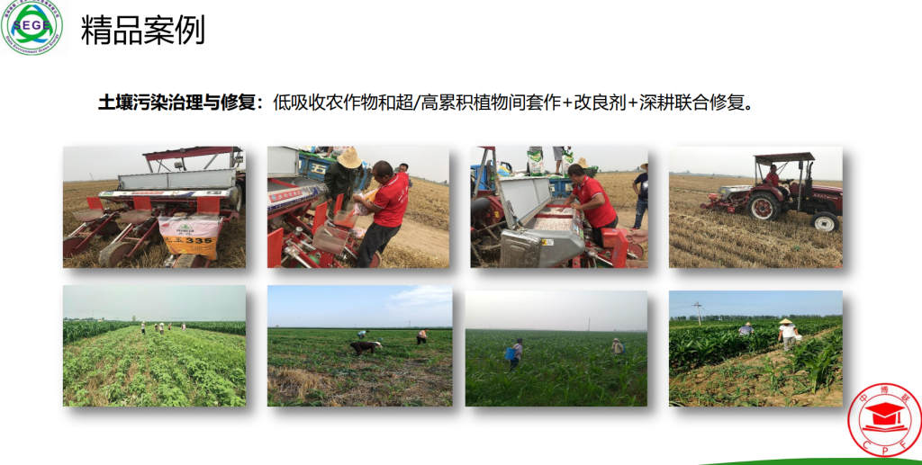 53330dccf011544167ded830b6d33327